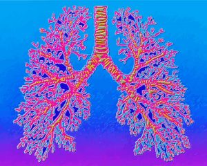 Psychedelic Lungs Paint by numbers