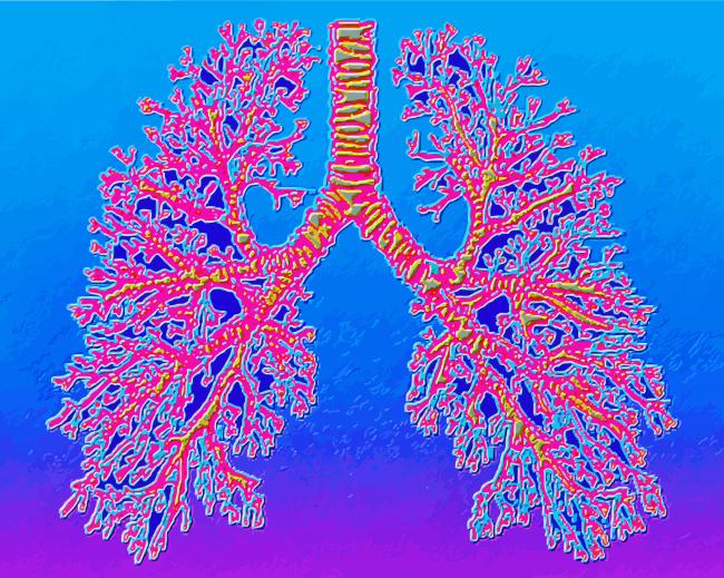 Psychedelic Lungs Paint by numbers