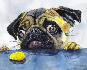 Pug With Cookie Art Paint by numbers
