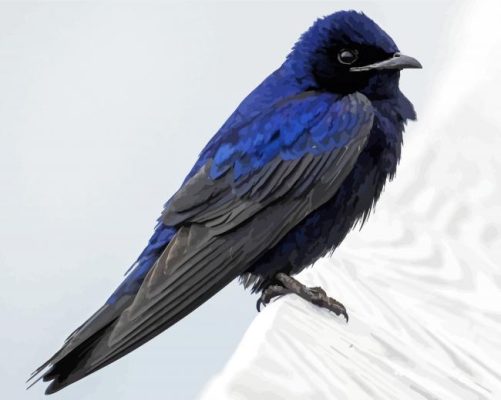 paint by numbers paint by numbers