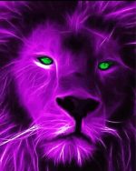 Purple lion face Paint By Number