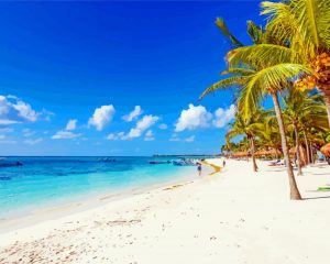 Riviera maya beach palm tree paint by numbers