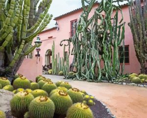 Santa Barbara Botanical Garden Paint by numbers