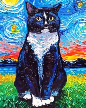 Starry Night Tuxedo Cat paint by numbers