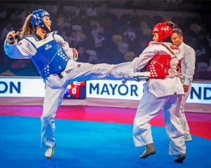 Taekwondo Girls paint by numbers