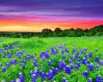 Texas Hill Country Sunset Landscape paint by numbers