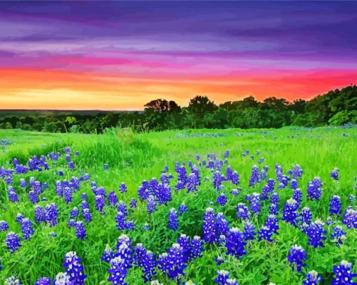 Texas Hill Country Sunset Landscape paint by numbers