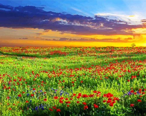 Texas Hill Country Paint by numbers