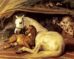 The Arab Tent by edwin landseer paint by numbers
