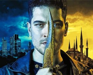 The Protector Serie Paint by numbers