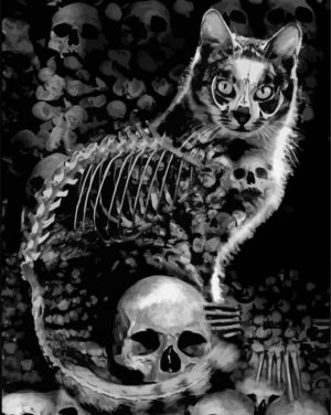 The Skull Cat paint by numbers