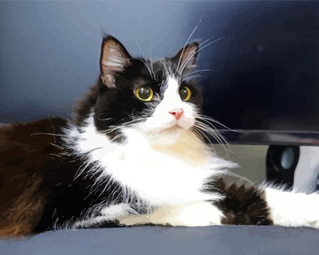The Tuxedo Cat paint by number