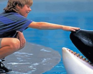 Willy the orca movie paint by number
