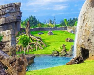 Zoo Bioparc Valencia paint by numbers