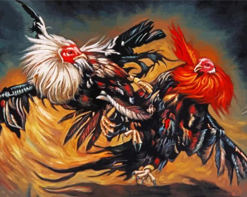 Rooster Fight paint by numbers