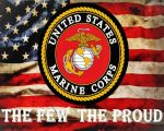 Aesthetic United States Marine Corp Logo paint by numbers