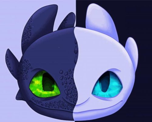 Aesthetic Light And Night Fury paint by numbers