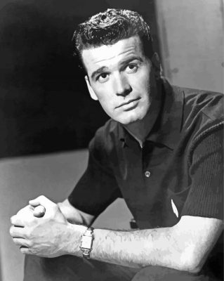 american actor James Garner paint by numbers