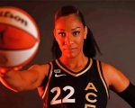 basketball player Wnba paint by numbers