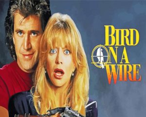 bird on a wire movie paint by numbers