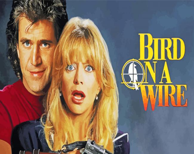 bird on a wire movie paint by numbers