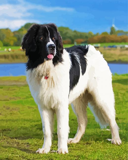 black and white Landseer paint by numbers