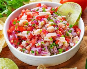 Ceviche Food paint by numbers