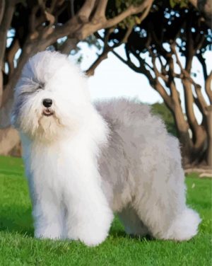Old English Sheepdog paint by numbers
