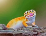 Cute Gecko paint by numbers