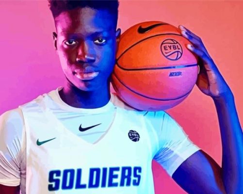 Fallou Diagne Paint by numbers