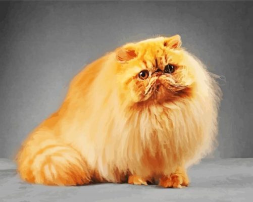 Fluffy Persian Cat paint by number
