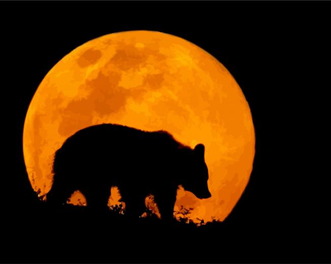 Grizzly Bear Moon paint by numbers