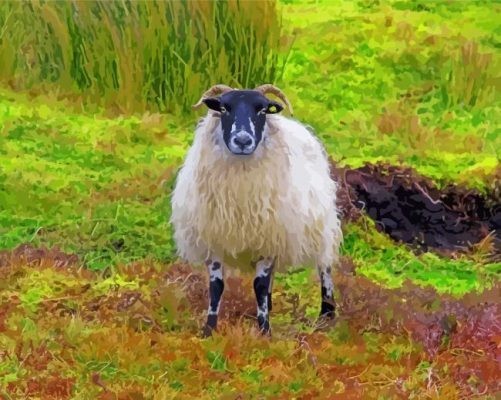 Irish Landscape With Sheep paint by numbers