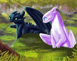 Night And Light Fury paint by numbers