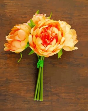 Orange Peony Paint by numbers