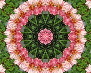 Flower Kaleidoscope Flower Kaleidoscope paint by numbers