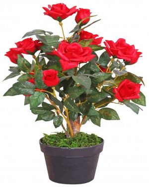 Red Rose Tree Paint by numbers