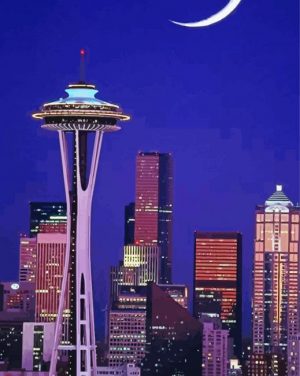 seattle night time paint by number