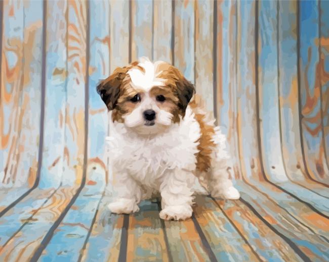 shihpoo dog animal paint by numbers