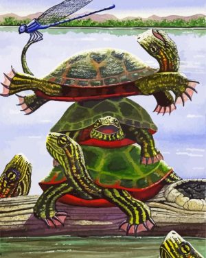 Snapping Turtles paint by numbers