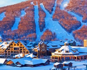 snowy Stowe paint by number