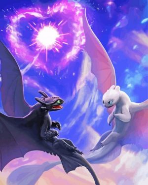 Toothless Light And Night Fury Anime paint by numbers