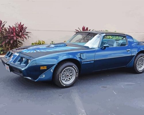 1979 Blue Pontiac Firebird paint by numbers