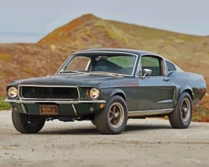 Bullet Mustang paint by numbers
