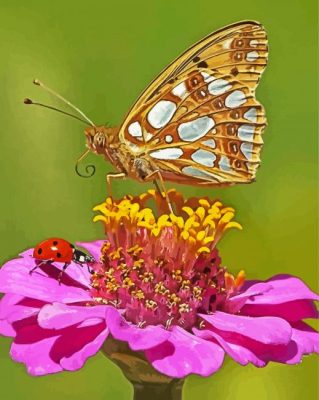 Butterfly And Ladybug On A Flower paint by numbers