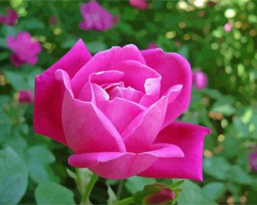 China rose flower paint by number