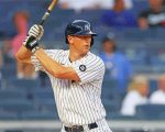 DJ LeMahieu Ny Yankees Paint by numbers