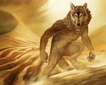 Desert Wolf paint by numbers