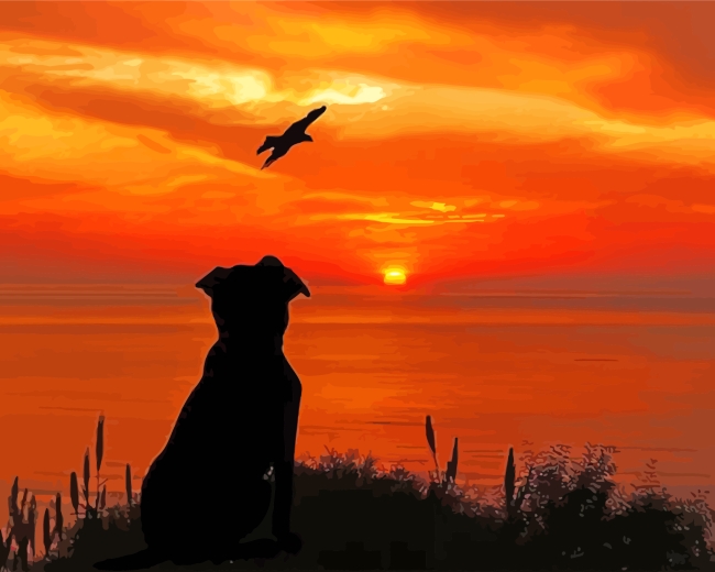 Dog Silhouette In Sunset Paint by numbers