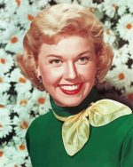 Doris Day paint by numbers